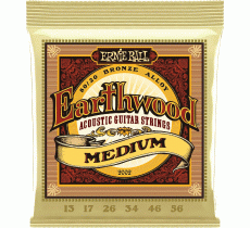 Ernie Ball 2002 Earthwood Bronze 13-56 Medium 