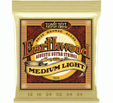 Ernie Ball 2003 Earthwood Bronze 12-54 Medium Light
