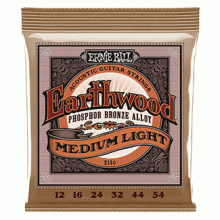 Ernie Ball 2146 Earthwood Phosphor Bronze 12-54 Medium Light