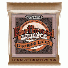 Ernie Ball 2153 Earthwood Phosphor Bronze 9-46 12-string Light 