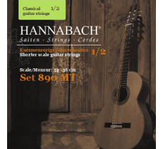 Hannabach E890MT12