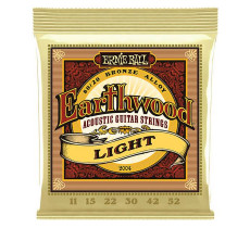 Ernie Ball 2004 Earthwood Bronze Light (011-052)