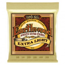 Ernie Ball 2006 Earthwood