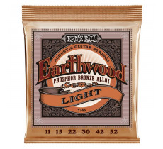 Ernie Ball 2148 Earthwood Phosphor Bronze Light (011-052)